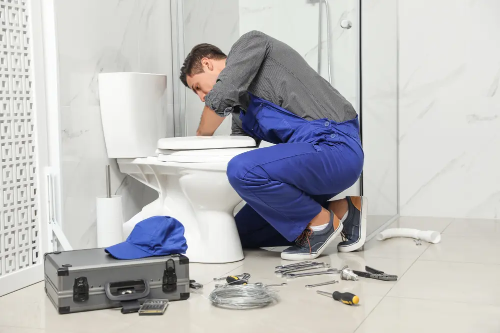 Toilet Repair in Palm Shores